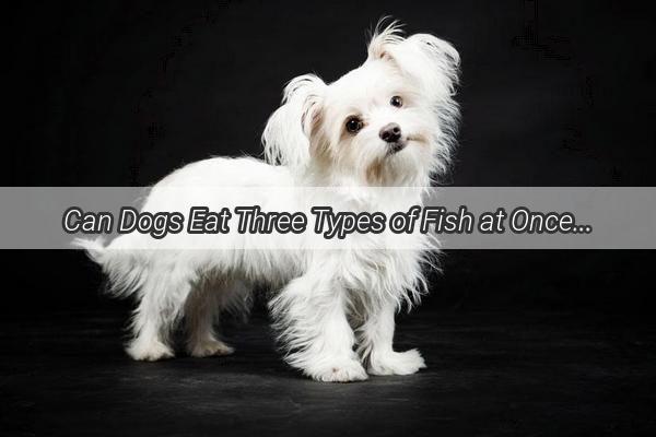 Can Dogs Eat Three Types of Fish at Once A Nutritional Journey Unveiled